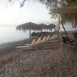 House Nefeli * Témeni