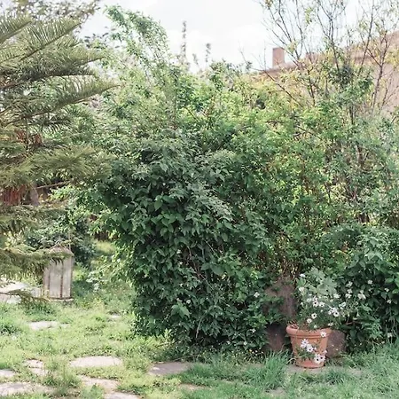 House Nefeli Holiday home