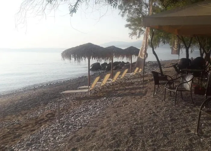 House Nefeli * Témeni