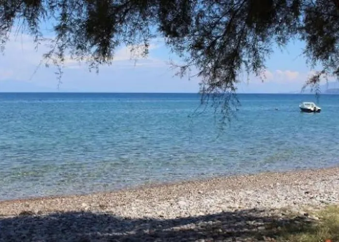 House Nefeli * Témeni